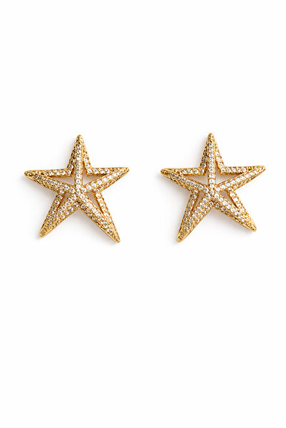 Angelovia Star Figured Stone Women's Earrings