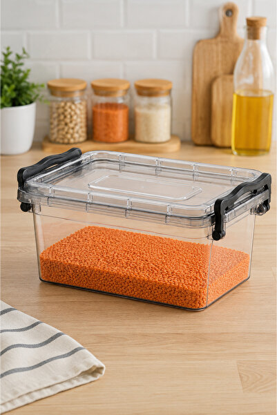 DolphFin 2 L Maxi Storage Container with Lid