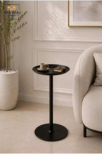 MARIA HOMES Modern Round Metal Side Table with Raised Tray Top and Pedestal Base