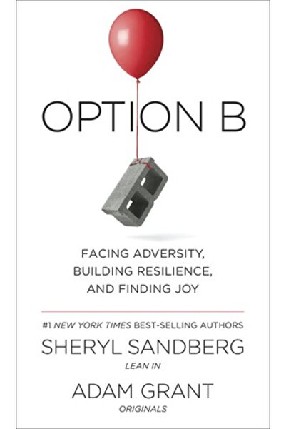 Kingdom of Books Option B