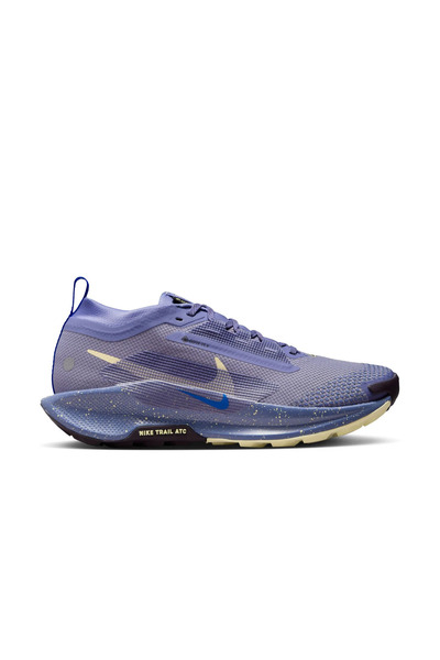 Nike Pegasus Trail 5 GORE-TEX Kadın Koşu Ayakkabısı