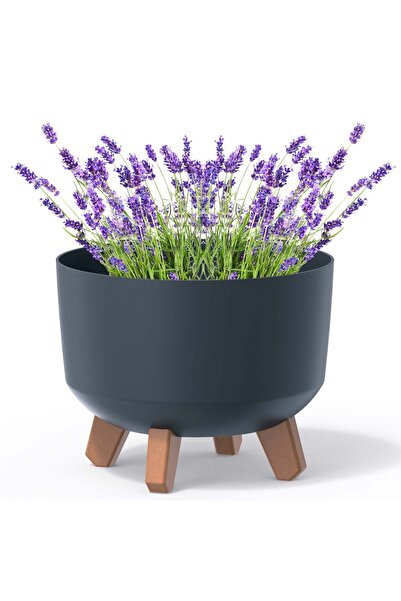 EDANTI Ghiveci tip bol pe picioare 23,8 cm Gracia Standard