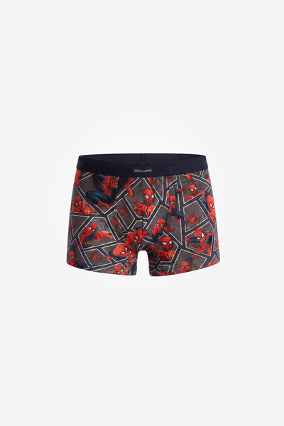 PAULMARK Boys' Cotton Blend Printed Boxers
