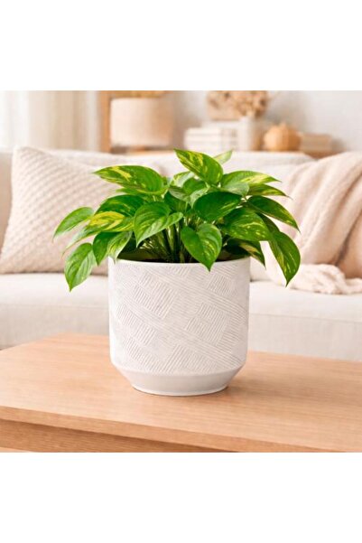 Generic Ceramic plant pot with prominent geometric design, 3 sizes