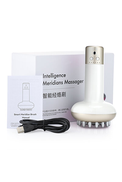 Choice1 WHITE Intelligent Electric Massager Brush Home Portable Massager Fat ...