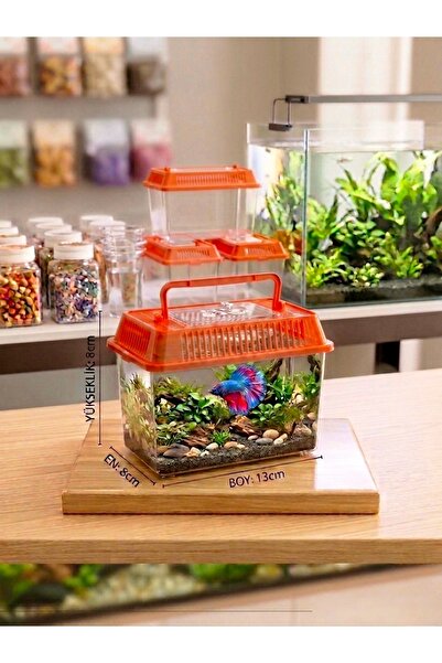 Berliva Home Taşınabilir Kulplu Mika Beta Akvaryumu Mini Fanus Mini Akvaryum ...