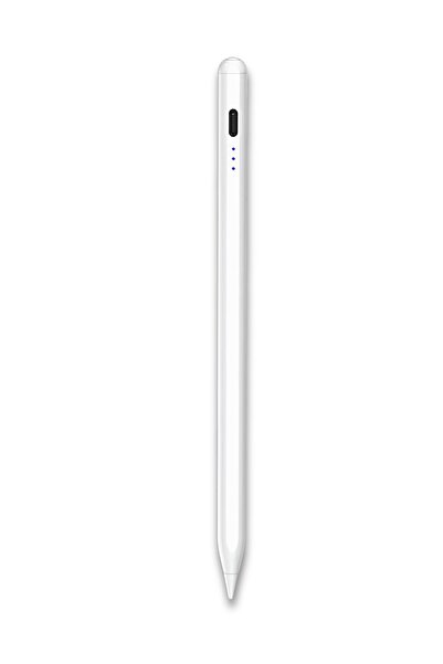 Fuchsia FSKL16 Premium iPad Uyumlu Tablet Kalemi Avuç İçi Reddetmeli Eğim Has...