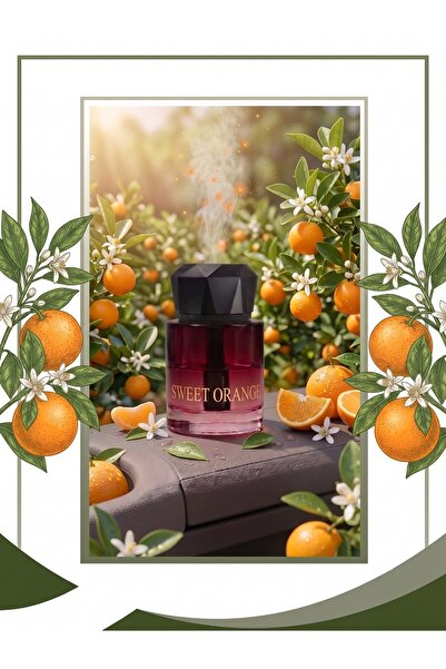 Başkenttekno Araç İçi Aroma Difüzörü Hava Nemlendirici Yıldız Tavan Işıklı Şa...