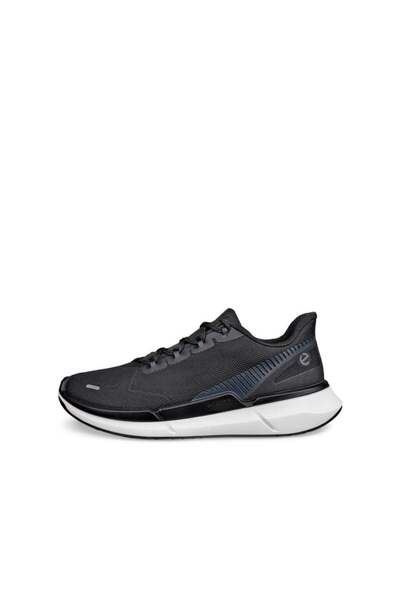 Ecco Biom 2.2