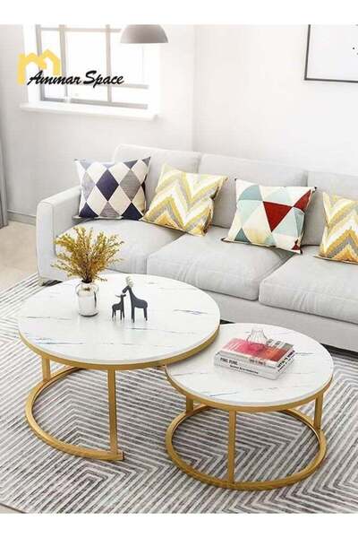 Ammar Space 2PCS Round Nesting Coffee Table Set, Modern Center Tables with Wo...