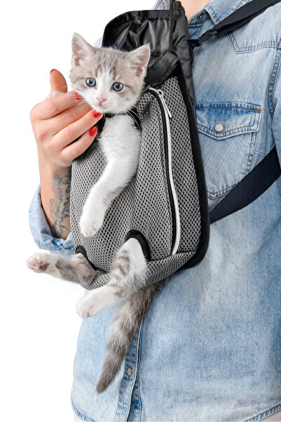 Senba Kedi ve Köpek Taşıma Çantası Kanguru Model Nefes Alabilen Ana Kucağı Pe...