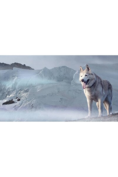 Persona Tablou canvas 100 x 70 cm, Animale model 568