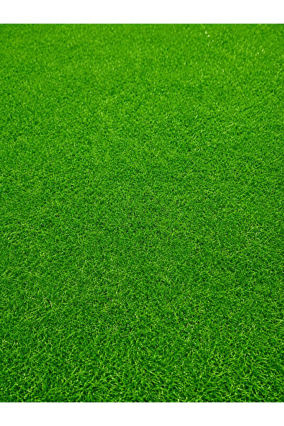 DeltaDesign Gazon Iarba Artificiala, Model Leisure Inaltime fir 15 mm, Verde ...