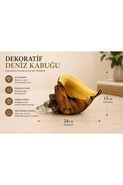 Yusuf Home Concept DENİZ KABUĞU ÇOK RENKLİ