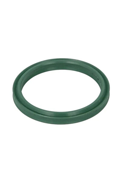 Thermotec Inel Etansare Furtun Aer Supraalimentare RENAULT FLUENCE/MEGANE 3/S...