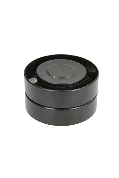 BTA Rola intinzator,curea accesorii Fendt 819 Favorit Scr 819 Vario 822 Favor...
