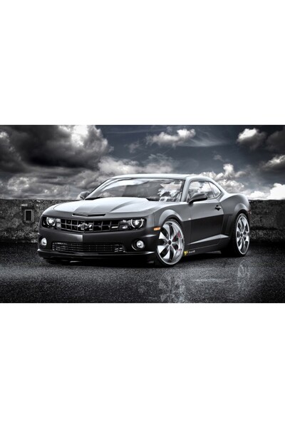 Persona Tablou canvas model Auto, 100 x70 cm, 121