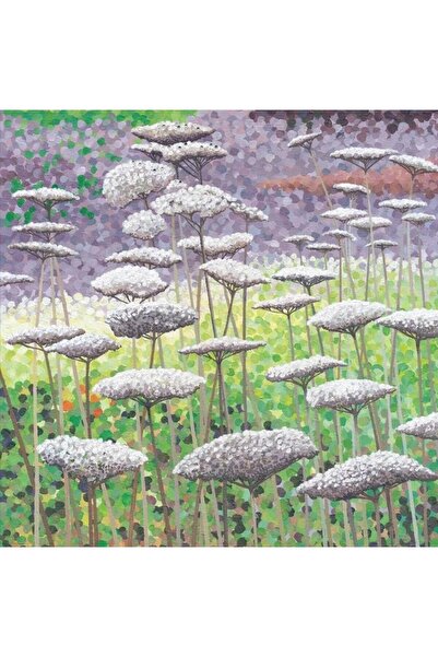 OEM Carnet cu plic "Brume pe spice" – Susan Entwistle, 156x161 mm