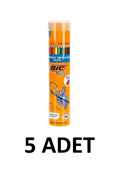 Bic 5 قطع من أقلام التلوين الجافة إيفولوشن، 12+1 أنبوب معدني