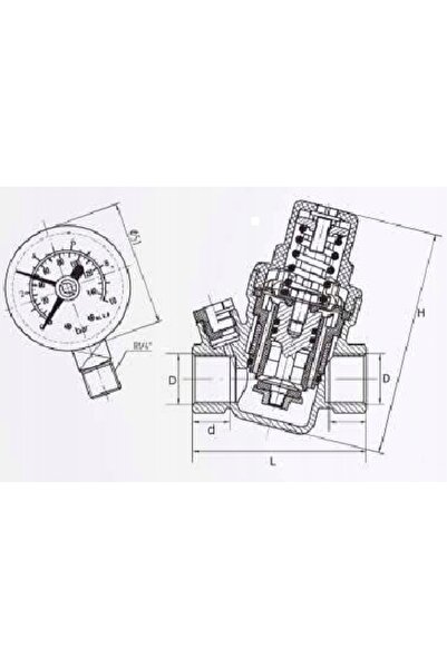 GOSHE Reductor de presiune WODY 3/4 cu manometru 361