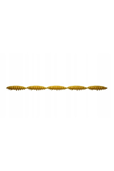NO BRAND LIBRA LURES Larva Multi 2.5 cm Cafea Lapte