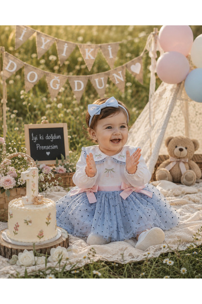 ministok Bluebell Dream Baby Girl Dress with Embroidery Detail on the Collar ...