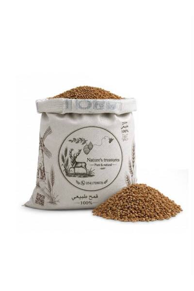 Nature's treasures Natural Wheat Grain, Local Cultivation, 500 [Gram]