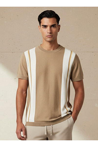 FAV VERTCIAL BLOKCING STRIPE CREW TEE