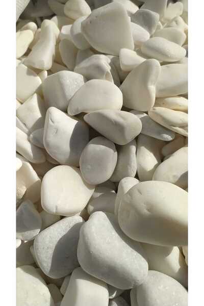 Green Efficiency Beyaz Dolomit Taşı 10 Kg 2-4 CM | Saksı Üstü Dekoratif Çakıl...