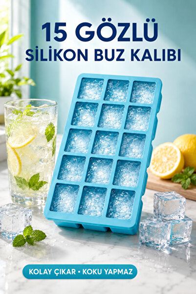NY HOME 15-Section Silicone Ice Mold