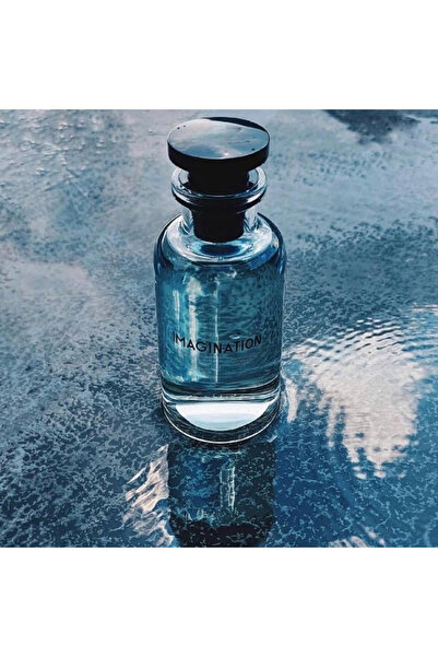 IMAGINATION Loui Boutin EDP 100ML | Fresh Citrus Aromatic Fragrance | Gents F...