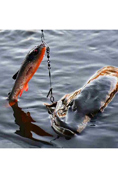 NO BRAND Guma SAVAGE GEAR 3D Whitefish Shad 27cm 152g Firetiger 1 bucată NA S...