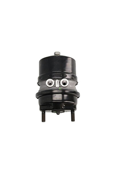 WABCO Camera de Frana Spate (24/16 Cursa: 64mm/64mm M22x1,5mm Disc) Scania