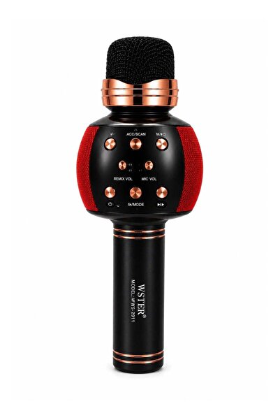 Wster Easy-to-Use Wireless Karaoke System: WS-2911 Microphone & Speaker
