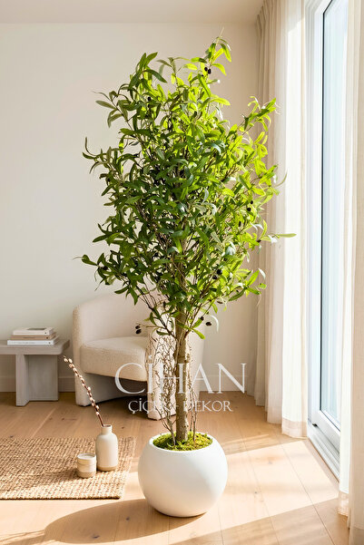 Cihan Çiçekçilik 150 cm Lüks Yapay Zeytin Ağacı - 27x33 cm Plastik Küre Saksı