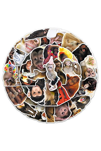 Choice1 50pcs 50 PCS Crazy Monkey Funny Chimpanzee Facial Expression Realisti...