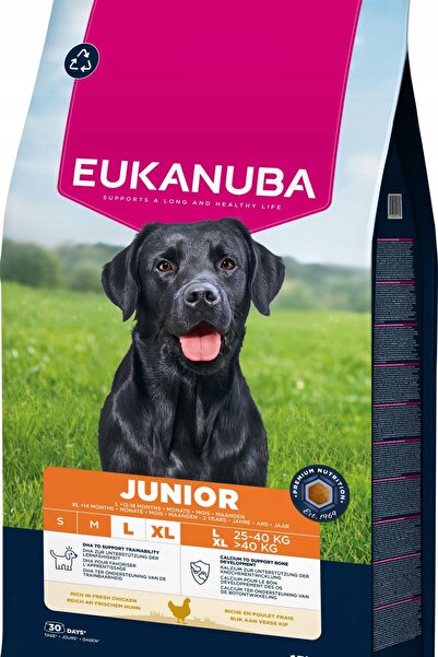 Eukanuba Pui pentru rase mari, junior, 15 kg