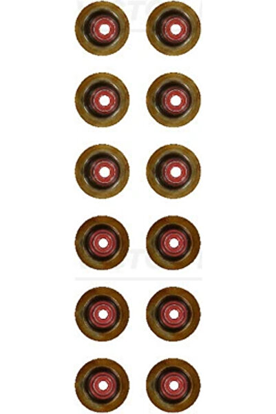 VICTOR REINZ Set Garnituri, Ax Supape 12-17509-02 Citroën Basalt/C3 3/C3 Airc...
