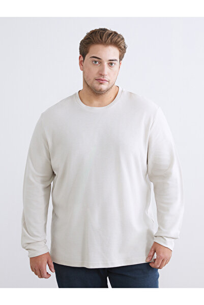 LC Waikiki Vizyon New Season Plus Size Crew Neck Men's Sweatshirt