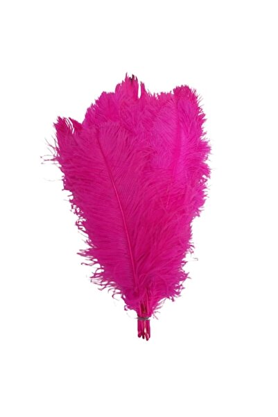 OEM Set de 3 pene de struț, lungime 50 cm, culoare fuchsia, lățime 20-25 cm