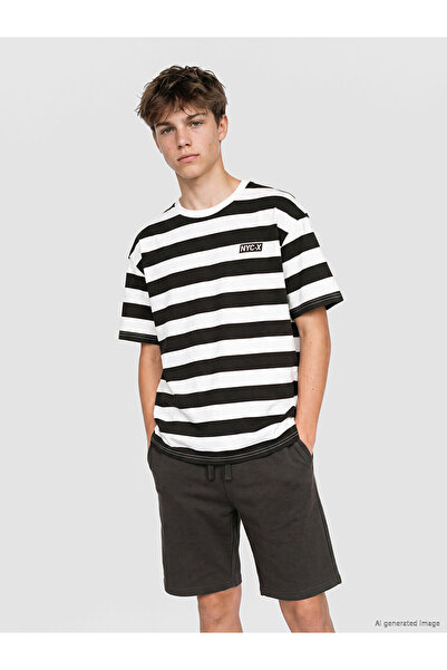 LC Waikiki Original Oval Collar Striped Boys' T-Shirt