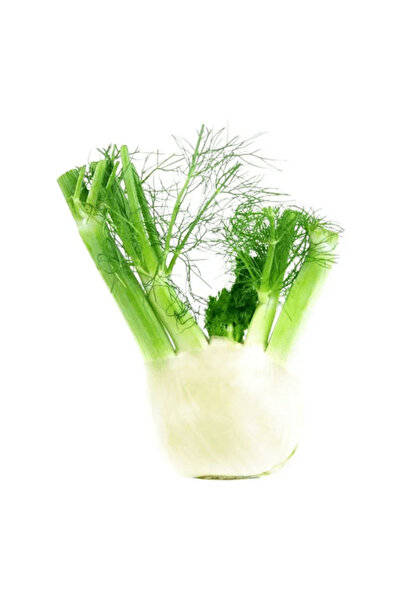 Garden Γιγάντιος σπόρος μάραθου