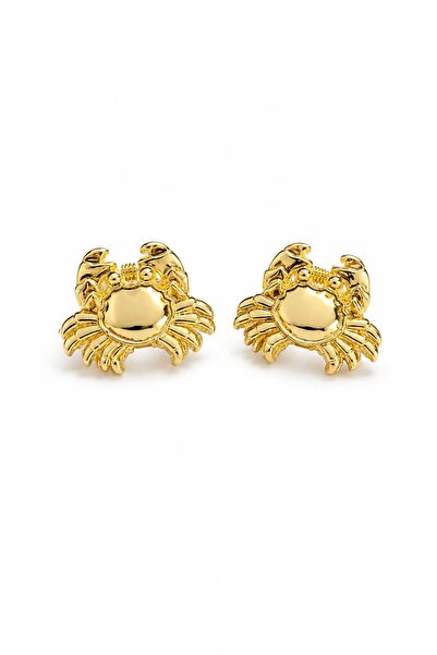 New Obsessions Summer Themed Mini Metal Latch Buckle 2 Pieces
