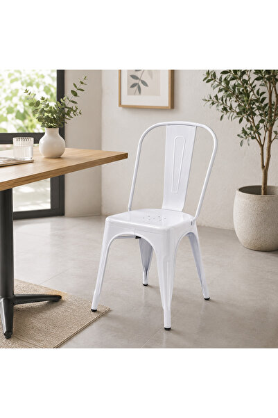 N.zone Modern Industrial Style Metal Chair with Perforated Comfortable Seat, ...