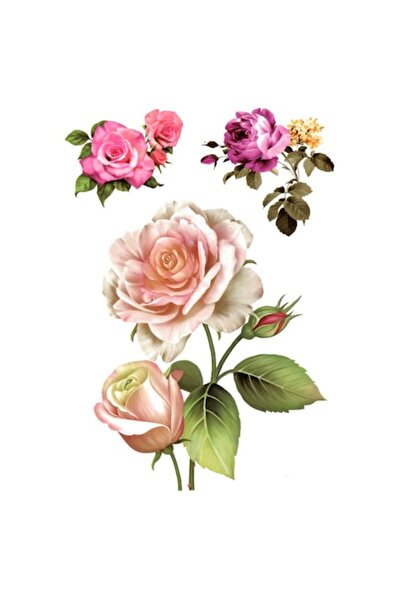 FlashTattoosRomania Tatuaj temporar, Tatuaje flash România, Grădină de vară, ...