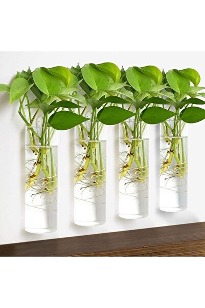 ELECDON Wall Hanging Glass Planters, Terrarium, Plant Containers, Wall Vase f...