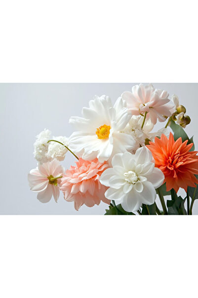 Bloom & Sow Seed بصيلات داليا مختلطة - أصناف بيضاء ووردية فاتحة وبرتقالية، زه...