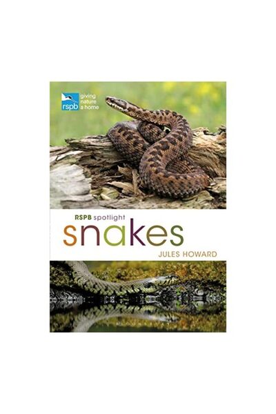 Generic (Unbranded) RSPB Spotlight Snakes