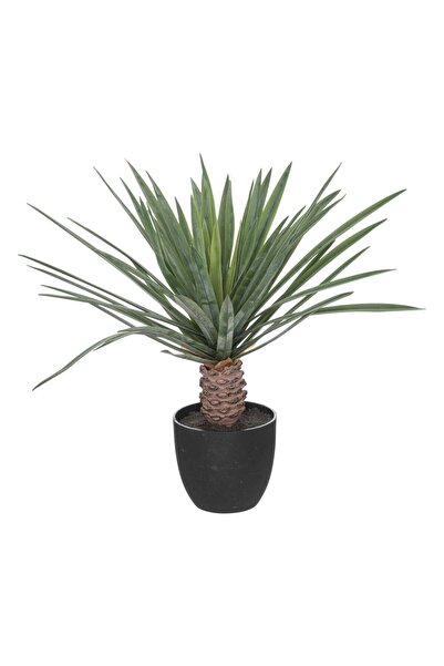 Atmosphera Palmier artificial "Rivi" - H.52 cm