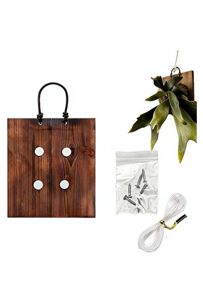 STARSTAR Fern installation kit, wall-mounted planter, 16.5x20 cm, suitable fo...